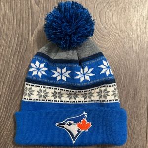Toronto Blue Jays winter hat